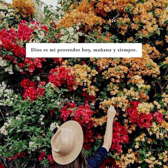 Meet your Posher, Yolanda - Picture 1 of 1